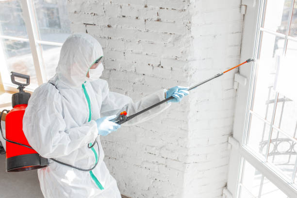 Best Asbestos and Lead Testing During Mold Inspection  in Ovilla, TX