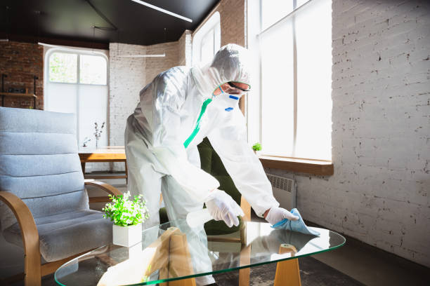 Why You Should Choose Our Mold Remediation Services in Ovilla, TX