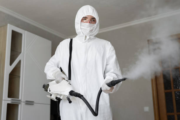 Best Mold Removal for HVAC Installations  in Ovilla, TX